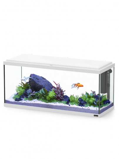 Aquario Explorer Amsterdam 80x30x37 - 85L  COR025 Branco LED 17W e Biobox1